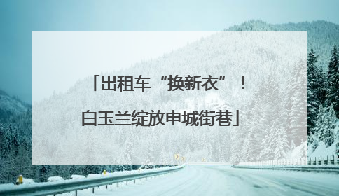 出租车“换新衣”！白玉兰绽放申城街巷