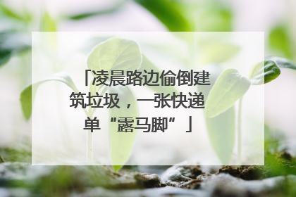 凌晨路边偷倒建筑垃圾，一张快递单“露马脚”