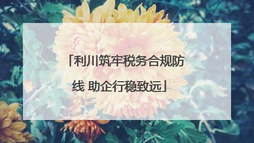 利川筑牢税务合规防线 助企行稳致远
