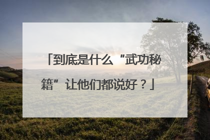 到底是什么“武功秘籍”让他们都说好？