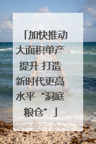 加快推动大面积单产提升 打造新时代更高水平“洞庭粮仓”