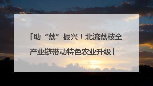 助“荔”振兴！北流荔枝全产业链带动特色农业升级