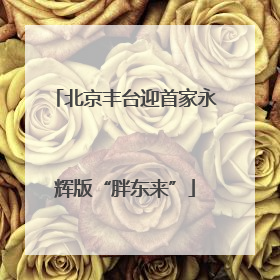 北京丰台迎首家永辉版“胖东来”