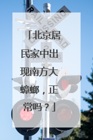北京居民家中出现南方大蟑螂，正常吗？