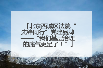 北京西城区法院“先锋同行”党建品牌——“我们基层治理的底气更足了！”