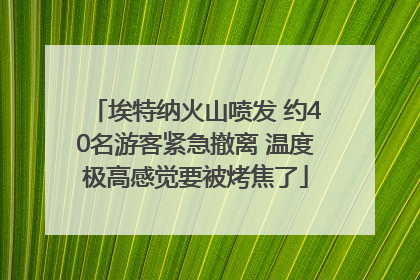 埃特纳火山喷发 约40名游客紧急撤离 温度极高感觉要被烤焦了
