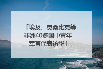 埃及、莫桑比克等非洲40多国中青年军官代表访华