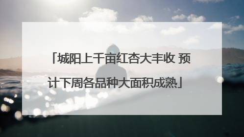 城阳上千亩红杏大丰收 预计下周各品种大面积成熟