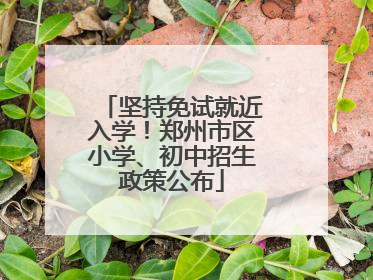 坚持免试就近入学！郑州市区小学、初中招生政策公布