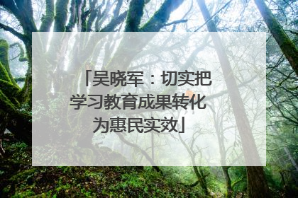 吴晓军：切实把学习教育成果转化为惠民实效