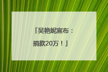 吴艳妮宣布：捐款20万！