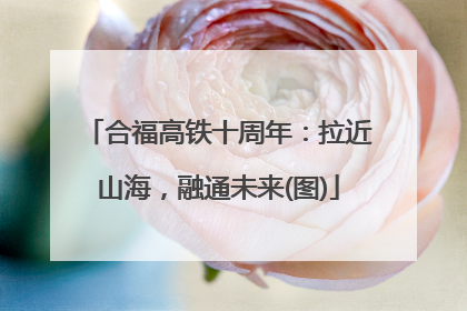 合福高铁十周年：拉近山海，融通未来(图)