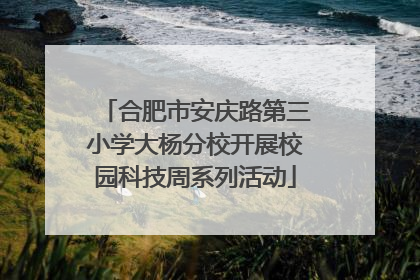 合肥市安庆路第三小学大杨分校开展校园科技周系列活动