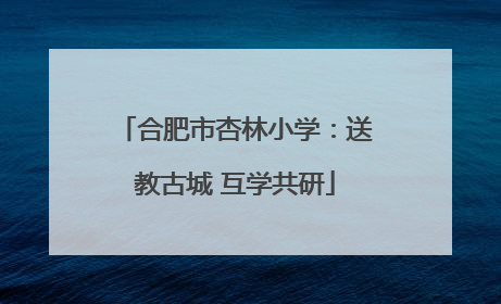 合肥市杏林小学：送教古城 互学共研