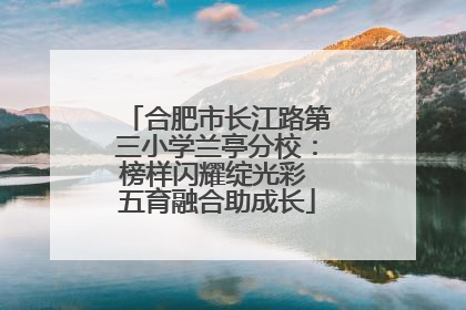 合肥市长江路第三小学兰亭分校：榜样闪耀绽光彩 五育融合助成长
