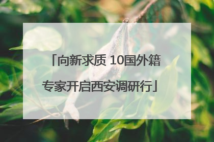 向新求质 10国外籍专家开启西安调研行