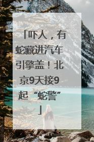 吓人，有蛇藏进汽车引擎盖！北京9天接9起“蛇警”