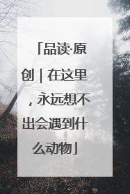 品读·原创｜在这里，永远想不出会遇到什么动物