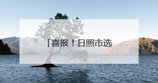 喜报！日照市选手荣获二等奖