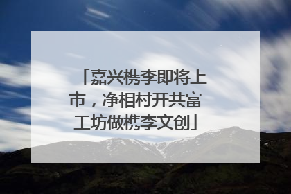 嘉兴槜李即将上市，净相村开共富工坊做槜李文创