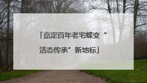 嘉定百年老宅蝶变“活态传承”新地标