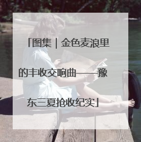 图集｜金色麦浪里的丰收交响曲——豫东三夏抢收纪实