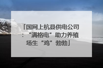 国网上杭县供电公司：“满格电”助力养殖场生“鸡”勃勃