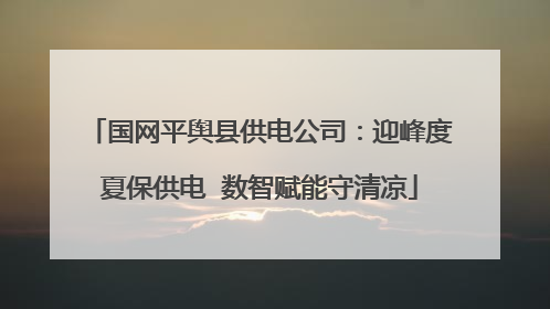 国网平舆县供电公司：迎峰度夏保供电  数智赋能守清凉