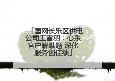国网长乐区供电公司王雪羽：心系客户解难题 深化服务创佳绩