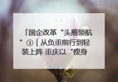 国企改革“头雁领航”③｜从负重前行到轻装上阵 重庆以“瘦身”谋“健体”