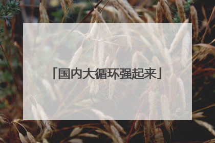 国内大循环强起来