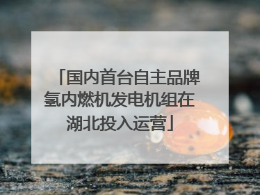 国内首台自主品牌氢内燃机发电机组在湖北投入运营