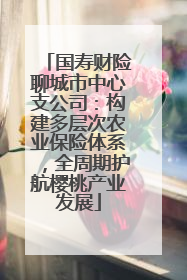 国寿财险聊城市中心支公司：构建多层次农业保险体系，全周期护航樱桃产业发展