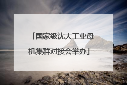 国家级沈大工业母机集群对接会举办
