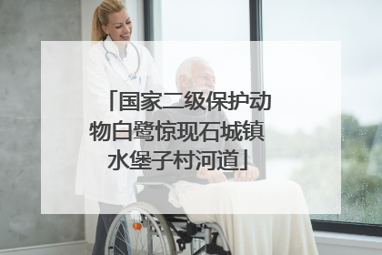 国家二级保护动物白鹭惊现石城镇水堡子村河道