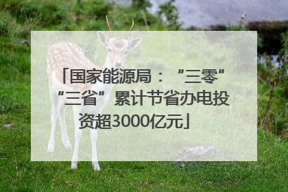 国家能源局：“三零”“三省”累计节省办电投资超3000亿元