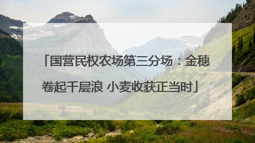 国营民权农场第三分场：金穗卷起千层浪 小麦收获正当时