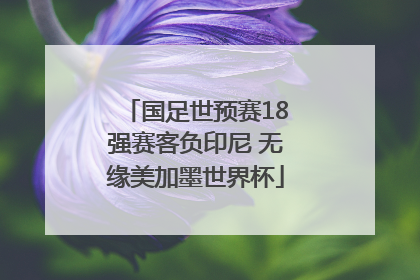 国足世预赛18强赛客负印尼 无缘美加墨世界杯