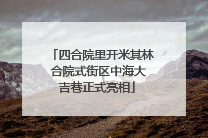 四合院里开米其林 合院式街区中海大吉巷正式亮相