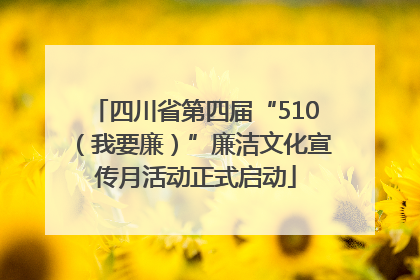 四川省第四届“510（我要廉）”廉洁文化宣传月活动正式启动