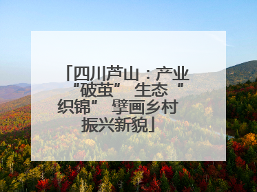 四川芦山：产业“破茧” 生态“织锦” 擘画乡村振兴新貌