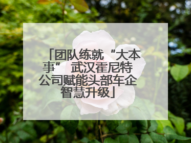 团队练就“大本事” 武汉霍尼特公司赋能头部车企智慧升级