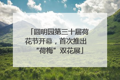 圆明园第三十届荷花节开幕，首次推出“荷梅”双花展