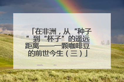 在非洲，从“种子”到“杯子”的遥远距离——一颗咖啡豆的前世今生（三）
