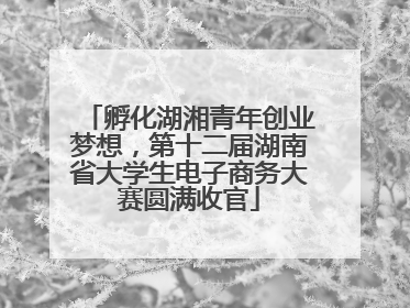 孵化湖湘青年创业梦想，第十二届湖南省大学生电子商务大赛圆满收官