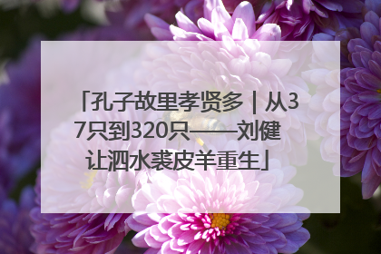 孔子故里孝贤多｜从37只到320只——刘健让泗水裘皮羊重生
