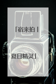 宿来拍丨夏日精灵