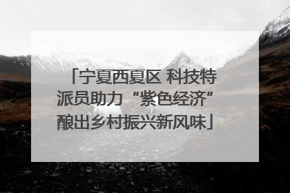 宁夏西夏区 科技特派员助力“紫色经济”酿出乡村振兴新风味