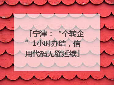 宁津：“个转企”1小时办结，信用代码无缝延续