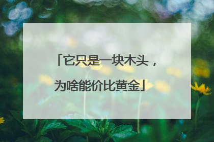 它只是一块木头，为啥能价比黄金